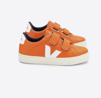 VEJA: Sneakers Sostenibili con un Tocco di Eleganza